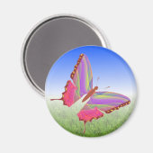 Unieke vlinder magneet (Voorkant / Achterkant)