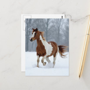 Unieke Winter Paint Horse Briefkaart