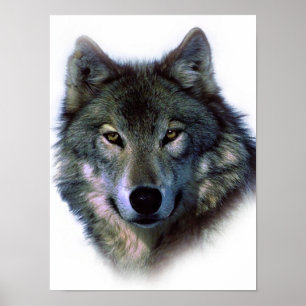 Unieke Wolf Eyes Artwork Freedom Poster