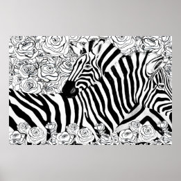 Unieke zebra's poster