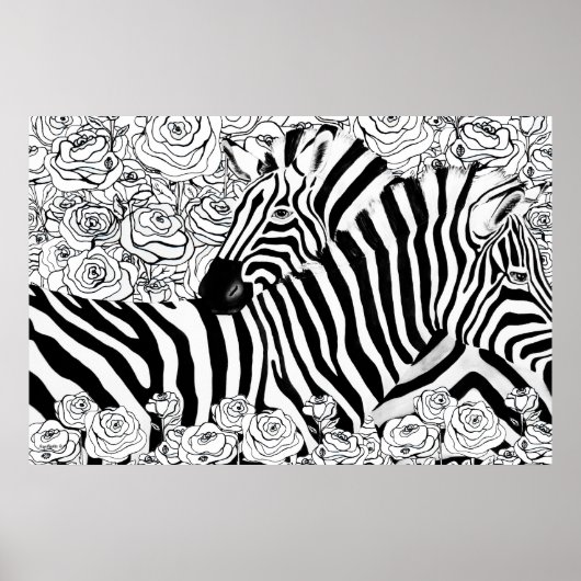 Unieke zebra's poster (Voorkant)