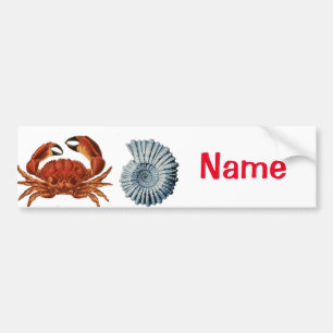 Unieke Zee wordt beoordeeld Thunder_Cove Bumpersticker
