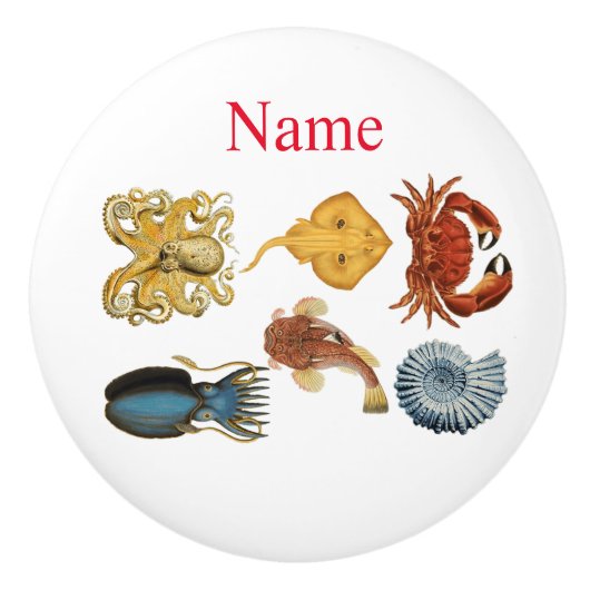 Unieke Zee wordt beoordeeld Thunder_Cove Keramische Knop (Voorkant)