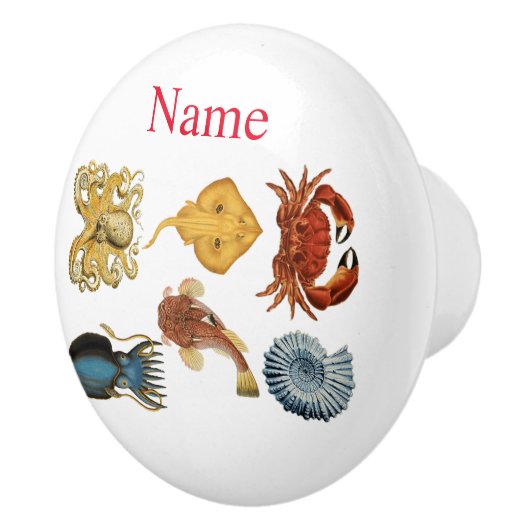 Unieke Zee wordt beoordeeld Thunder_Cove Keramische Knop (Rechts)