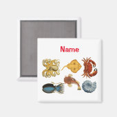 Unieke Zee wordt beoordeeld Thunder_Cove Magneet (Voorkant / Achterkant)