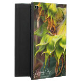 Unieke zonnebloem (Achterkant)