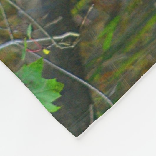 Unieke Zwan Fleece Deken (Hoek)