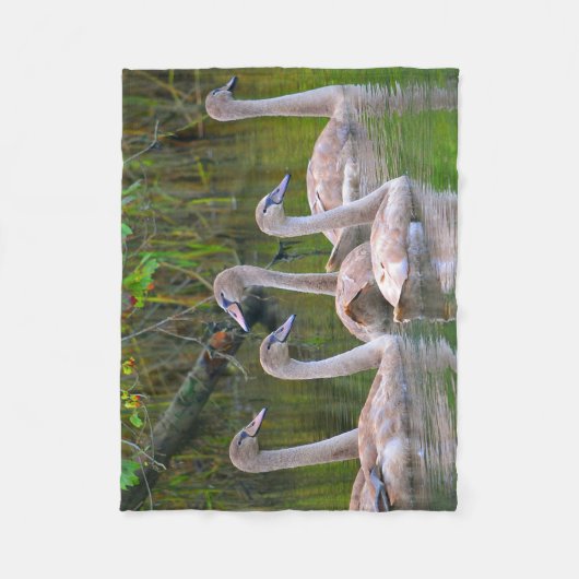 Unieke Zwan Fleece Deken (Voorkant)