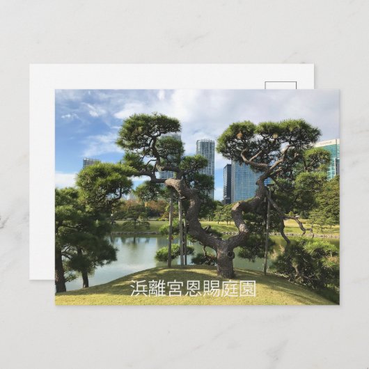 Unieke zwarte pingstructuur briefkaart (Voorkant / Achterkant)