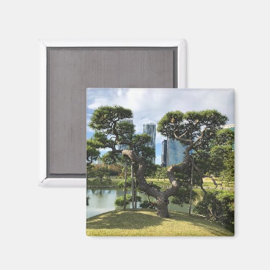 Unieke zwarte pingstructuur magneet (Voorkant / Achterkant)