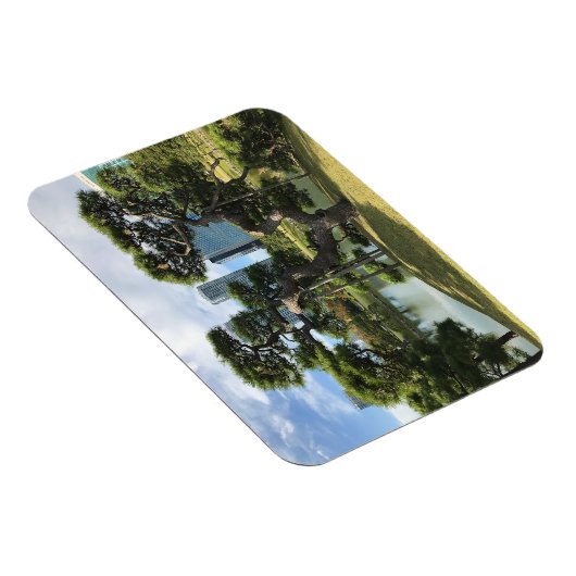 Unieke zwarte pingstructuur magneet (Rechterzijde)