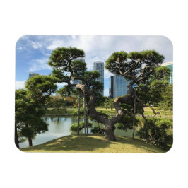 Unieke zwarte pingstructuur magneet