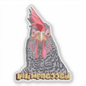 Unimpressed Barred Rock Hen Sticker (Voorkant)