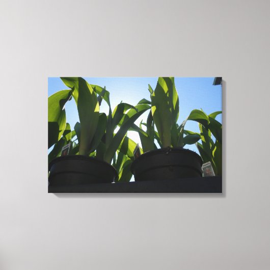 Union Square, New York City, Verenigde Staten Canvas Afdruk (Voorkant)