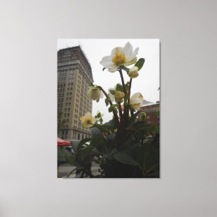 Union Square, New York City, Verenigde Staten Canvas Afdruk