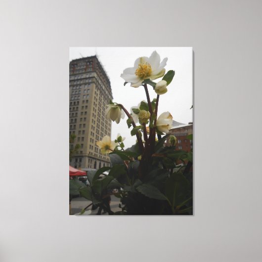 Union Square, New York City, Verenigde Staten Canvas Afdruk (Voorkant)