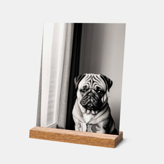 Unique Black and White Pug Dog Portrait Acryl Bord (Hoek)