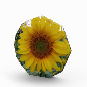 Unique Custom Photo Block in Octagon Shape Fotoblokken (Rechts)