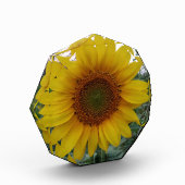 Unique Custom Photo Block in Octagon Shape Fotoblokken (Links)