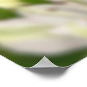 Unique Flower Poster (Hoek)