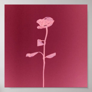 UNIQUE ROOS POSTER