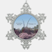 United States Air Force Memorial Pewter Ornament (Voorkant)