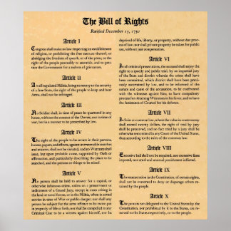 United States Bill Rights First Ten Amendementen Poster