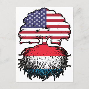 United States Flag Roots Briefkaart