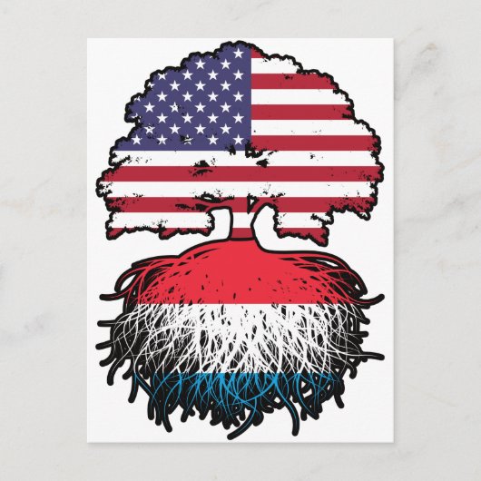 United States Flag Roots Briefkaart (Voorkant)