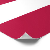 United States of America Poster (Hoek)