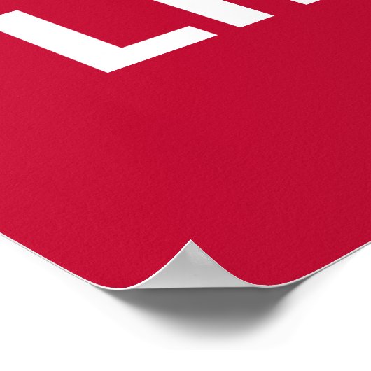 United States Taunton Flag Liberty and Union 1774 Poster (Hoek)