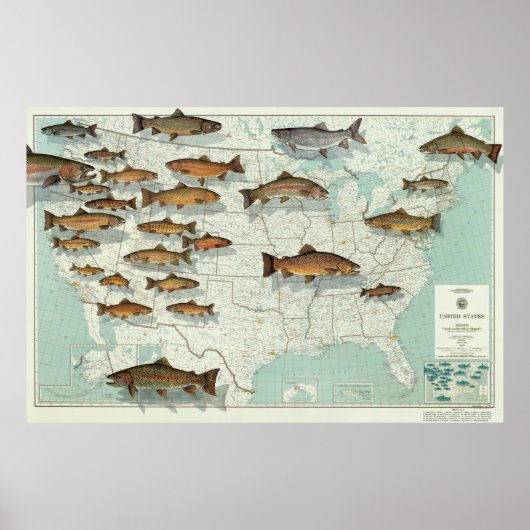 United States Trout Map (1999) Poster (Voorkant)