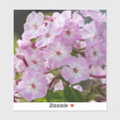 Unity Bloem – Roze Phlox Sticker (Vel)