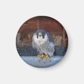 Unity Magnet (Voorkant)