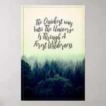 Universe and forest wilderness quote