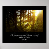 Universe Forest Muir Quote Poster (Voorkant)