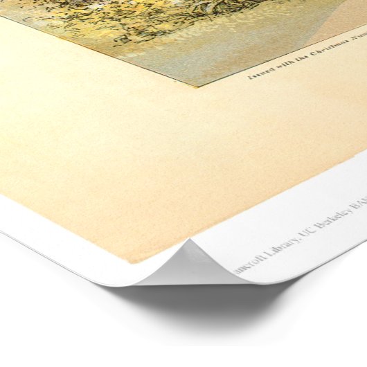 Universiteit (0828A) - Herstelbaar Poster (Hoek)