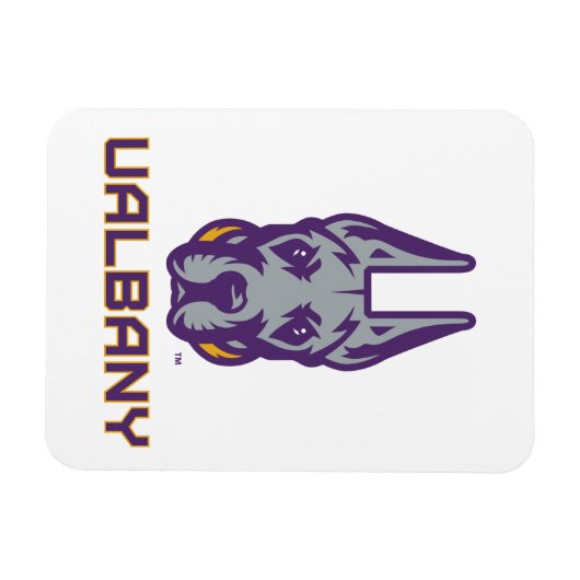 Universiteit van Albany Great Danes Magneet (Horizontaal)