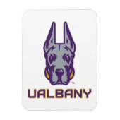 Universiteit van Albany Great Danes Magneet (Verticaal)