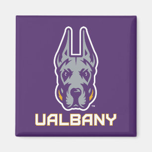 Universiteit van Albany Great Danes Magneet