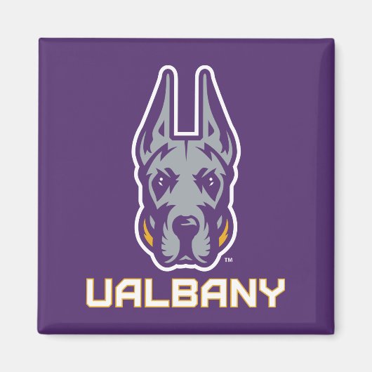 Universiteit van Albany Great Danes Magneet (Voorkant)