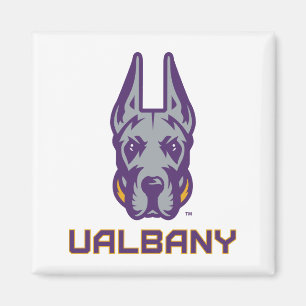 Universiteit van Albany Great Danes Magneet