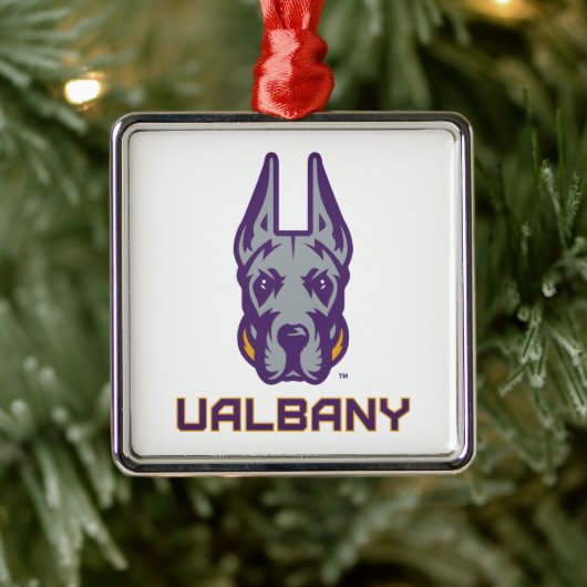 Universiteit van Albany Great Danes Metalen Ornament (Boom)