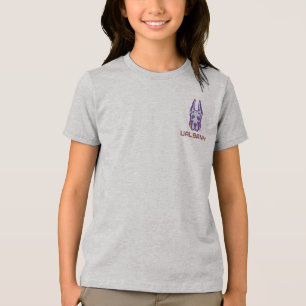 Universiteit van Albany Great Danes Tri-Blend Shirt