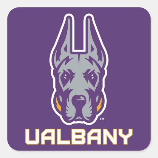 Universiteit van Albany Great Danes Vierkante Sticker (Voorkant)