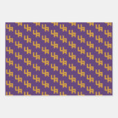 Universiteit van Albany Initialen Logo Inpakpapier Vel (Voorkant)