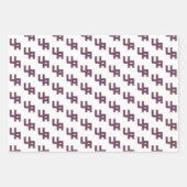 Universiteit van Albany Initialen Logo Inpakpapier Vel (Voorkant)