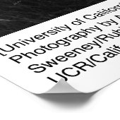 Universiteit van Californië door Ansel Adams Poster (Hoek)