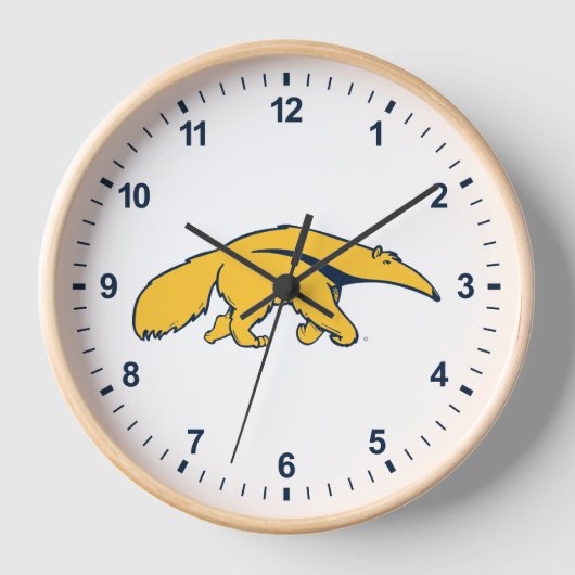 Universiteit van Californië, Irvine Anteater (Voorkant)