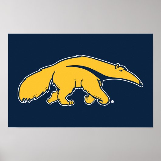 Universiteit van Californië, Irvine Anteater Poster (Voorkant)